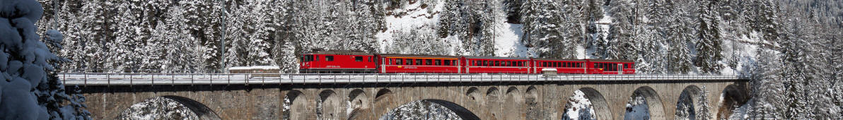 Viadukt mit Zug in der winterlichen Schweiz