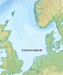 Entenschnabel (Nordsee)