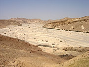 Foto der Negev Wüste bei Nachal Paran